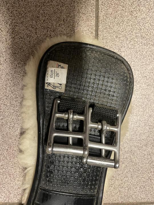 Podbřišní drezurní