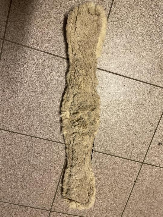 Podbřišní drezurní