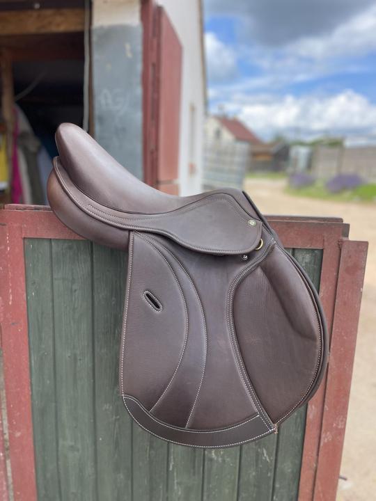 Skokové sedlo hnědé