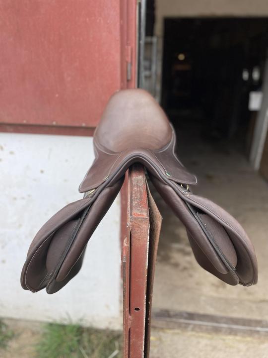 Skokové sedlo hnědé