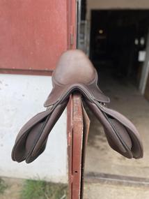 Skokové sedlo hnědé