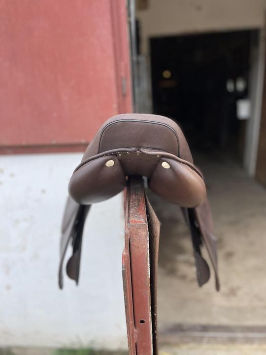 Skokové sedlo hnědé