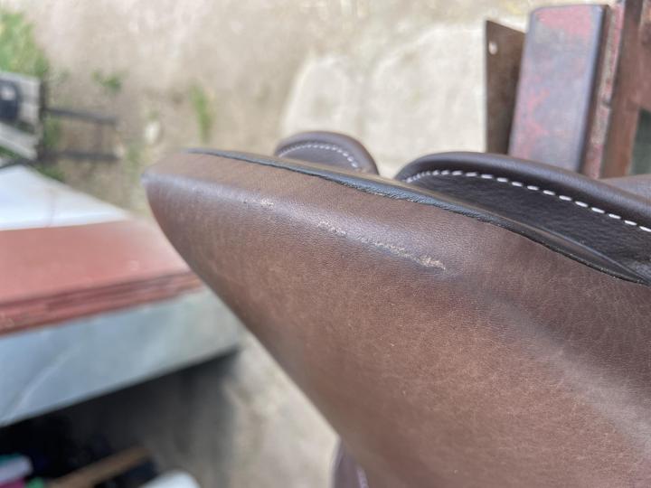 Skokové sedlo hnědé